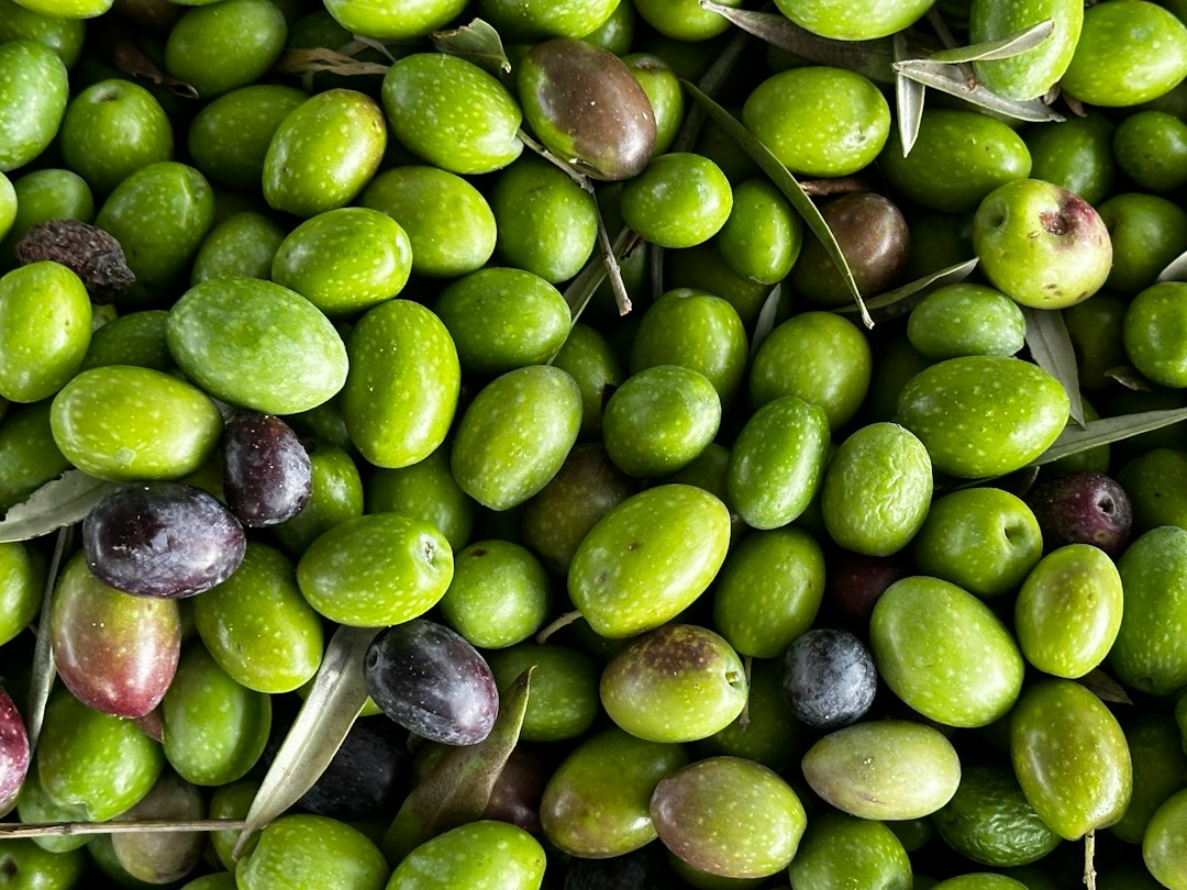 Zeytin salamurasından zeytin aroması çıkarma ve tatlandırma teknikleri gösteren bir illüstrasyon veya laboratuvar ortamı. / An illustration or laboratory setting showing olive flavor extraction and seasoning techniques from olive brine.